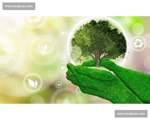 以未来生态为中心共建人与自然共生的智慧新世界可持续发展蓝图