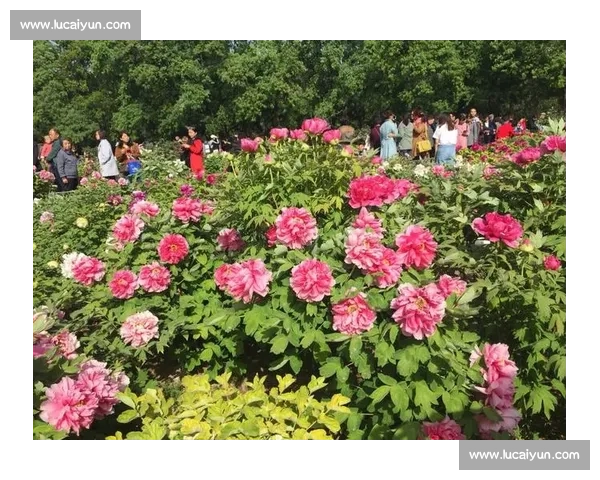 以生涯里程为中心回望成长轨迹与人生价值探索之路与时代同行的奋斗记忆